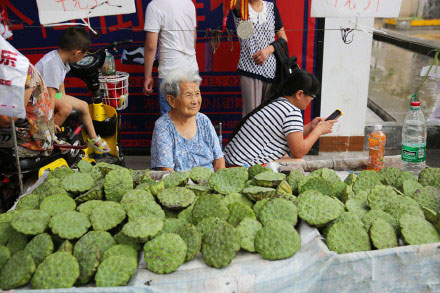 高龄奶奶摆摊挣钱补贴儿子，究竟为何啃老？________苏尝餐饮